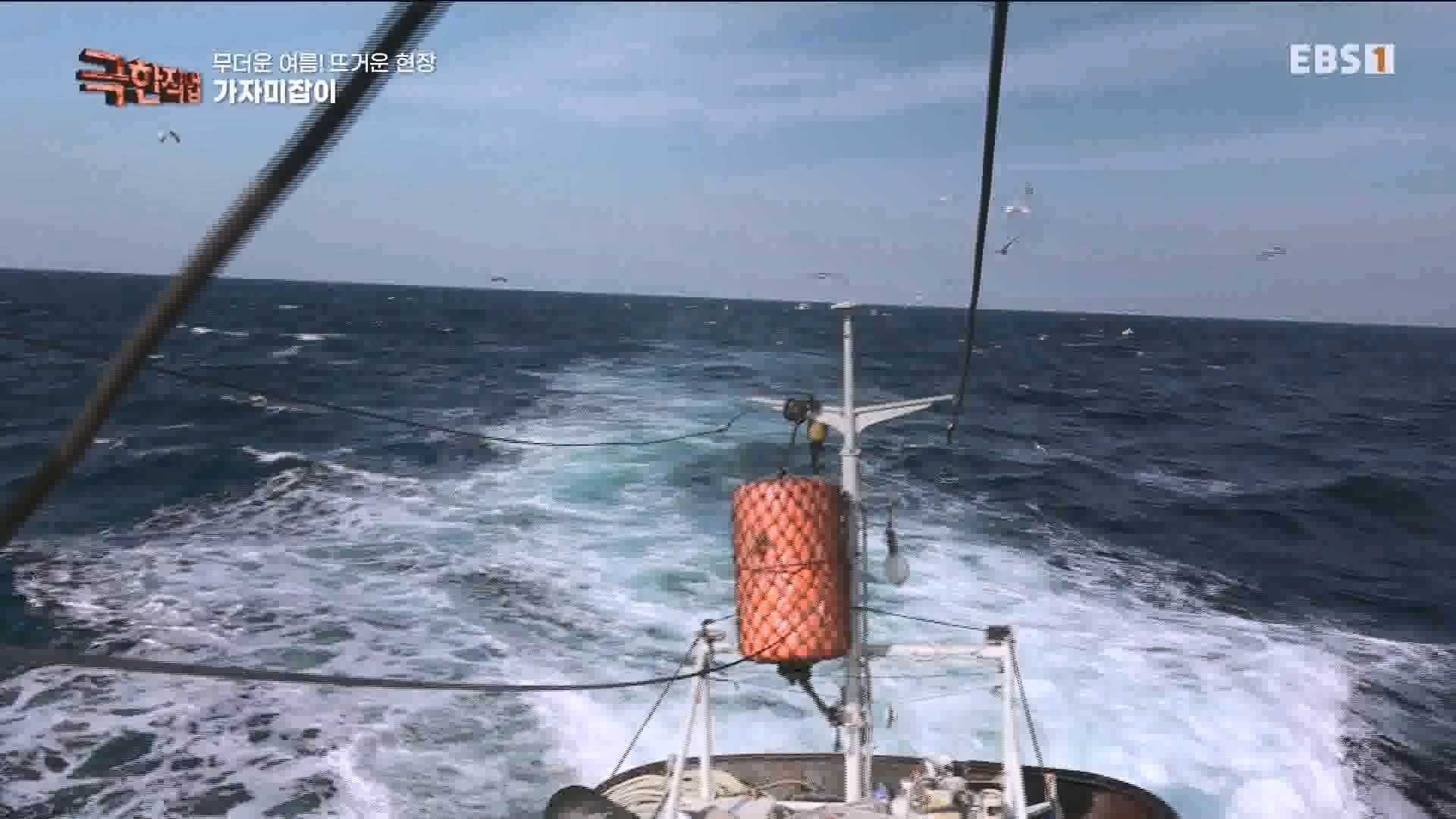 [극한 직업] 가자미잡이와 추어탕 230819.mp4_20230823_203255.825.jpg
