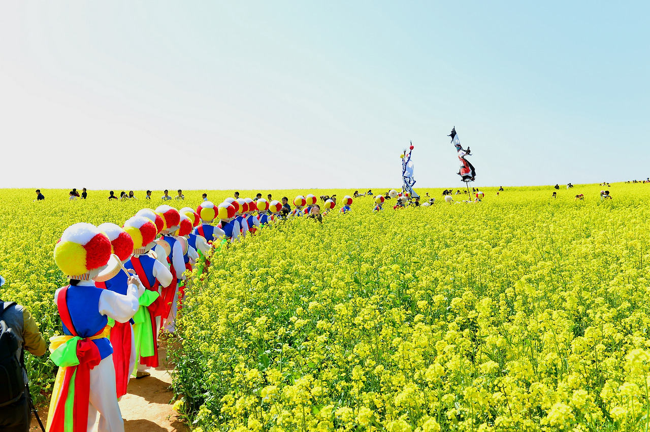 고창 청보리밭 축제 / 사진출처=고창군