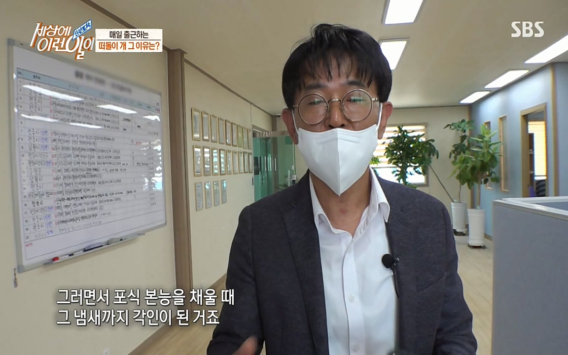 순간포착 세상에 이런일이.E1185.220622p-NEXT.mp4_20220622_201154.542.jpg