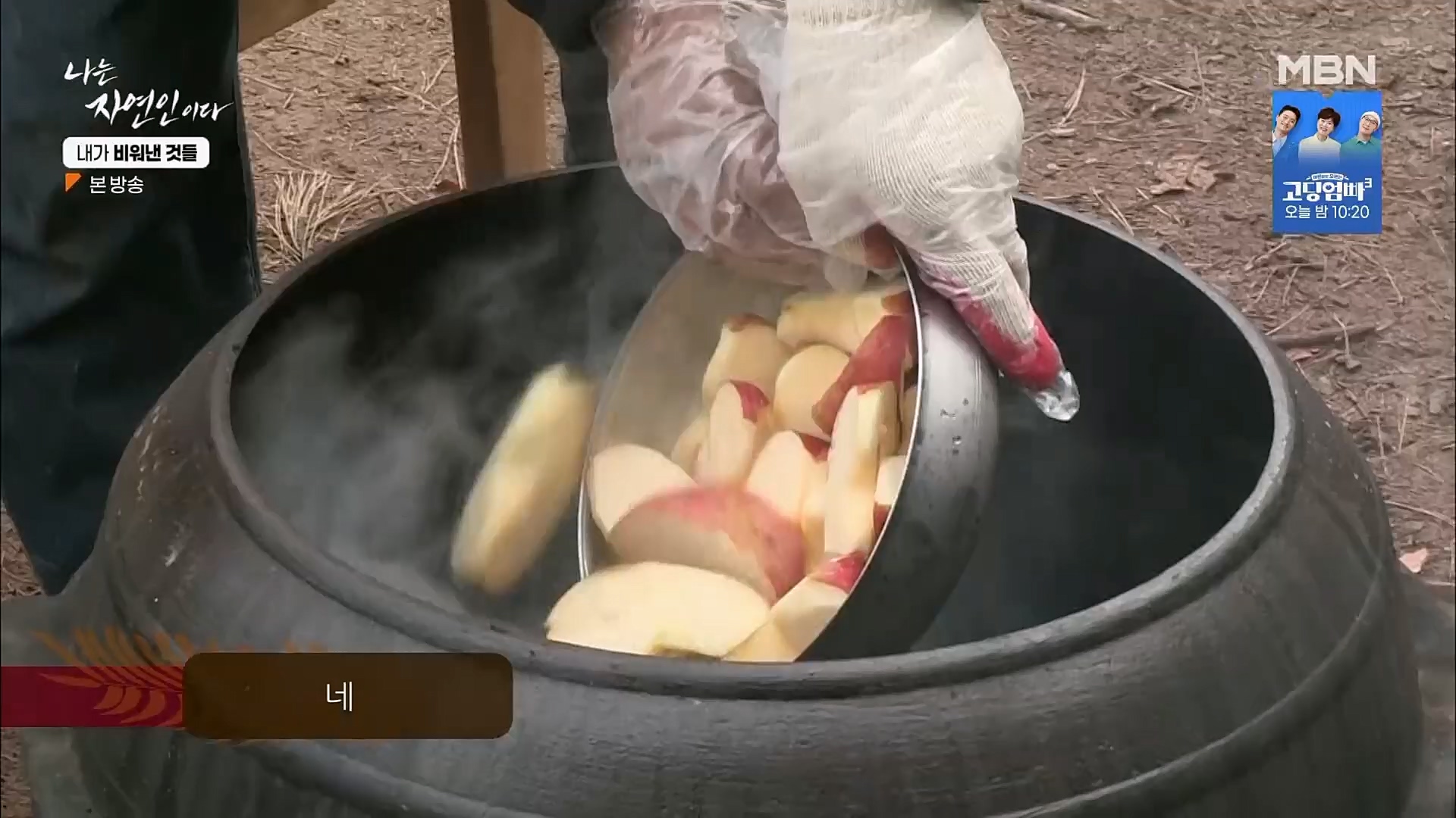 나는 자연인이다.E543.230301p.H264-F1RST.mp4_20230302_192658.492.jpg