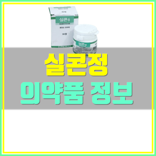  실콘정 625mg 부작용 효능 확인하세요!