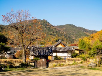 생생정보 옻골마을 대구 여행지