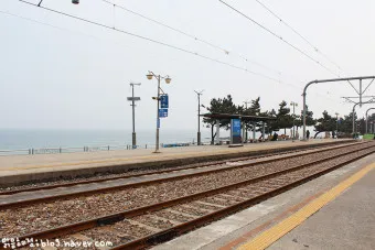 정동진역 ktx 기차시간표 요금표 예매_8