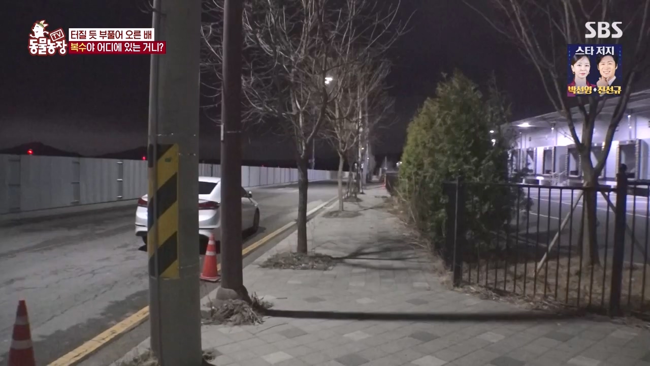 TV 동물농장.E1173.240527p-NEXT.mp4_20240526_155720.939.jpg