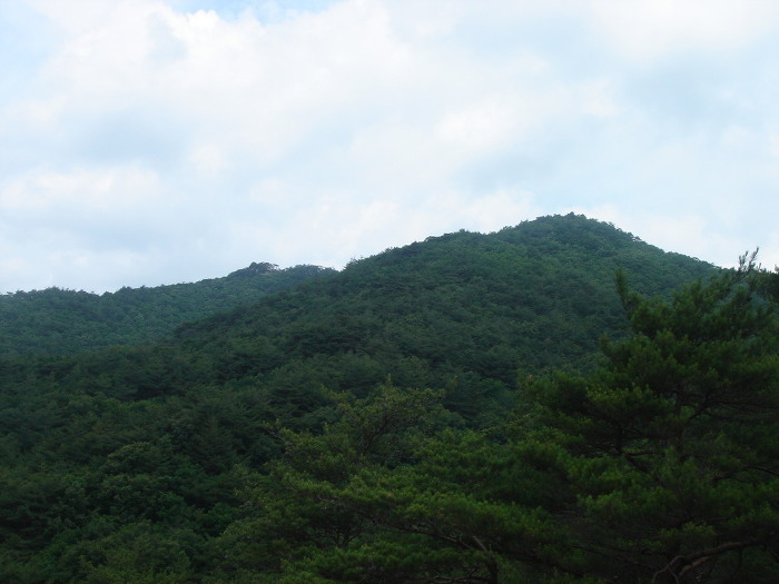  괴산 남군자산 [하관평~남군자산~쌍곡리]