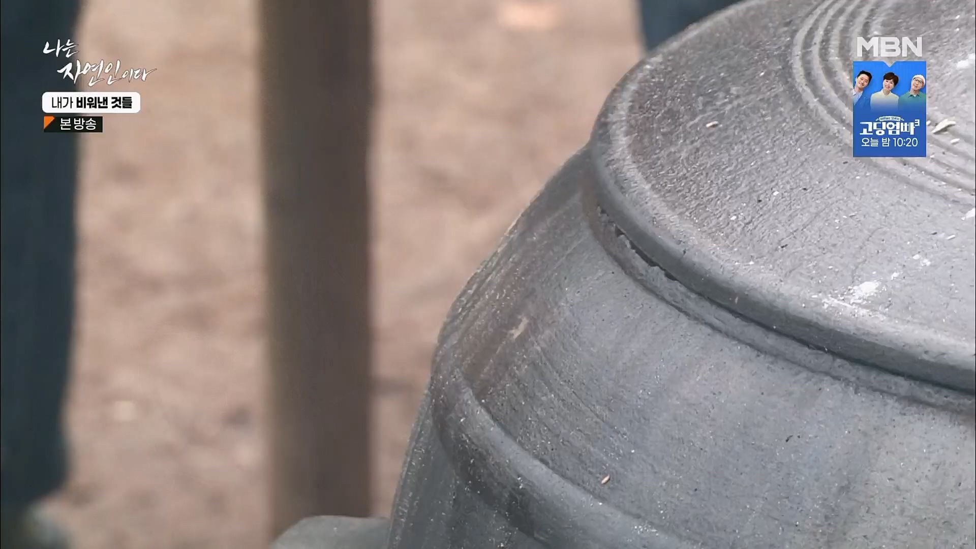 나는 자연인이다.E543.230301p.H264-F1RST.mp4_20230302_192659.338.jpg