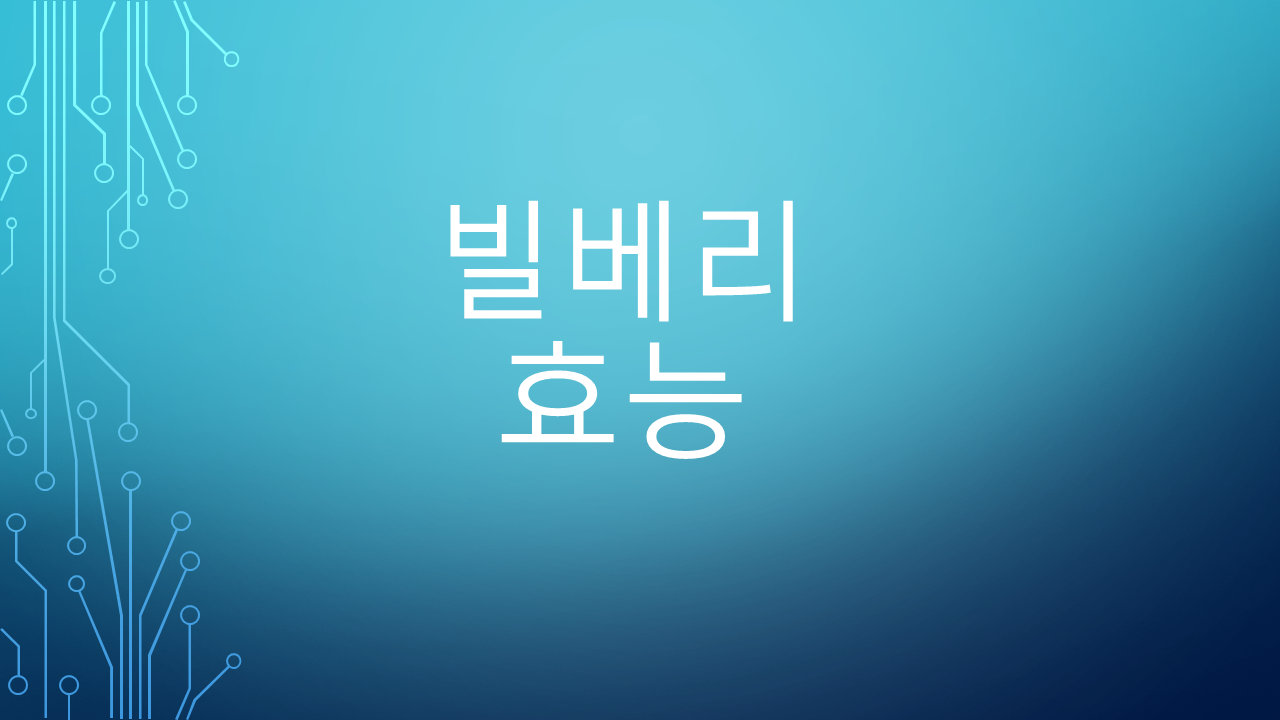  빌베리 효능