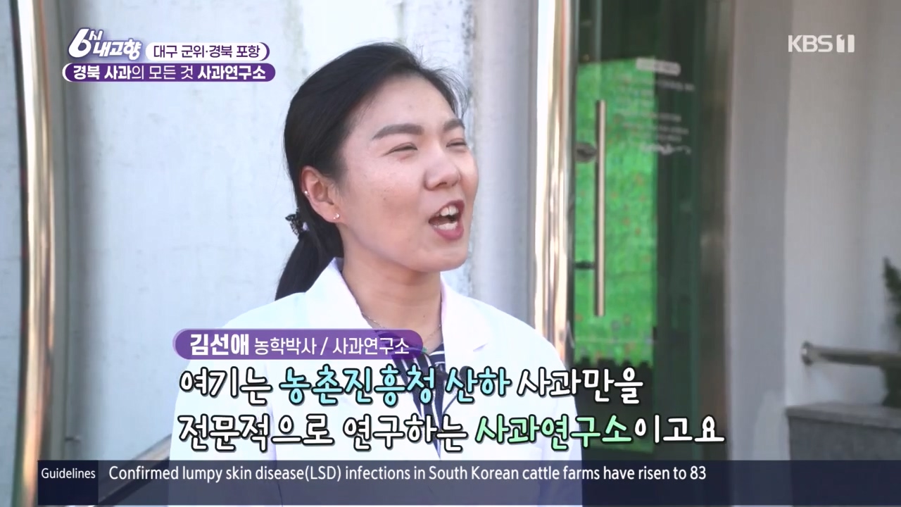 6시 내고향.E7907.231108p.H264-F1RST.mp4_20231108_203712.601.jpg