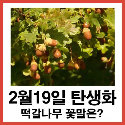 2월-19일-탄생화-떡갈나무