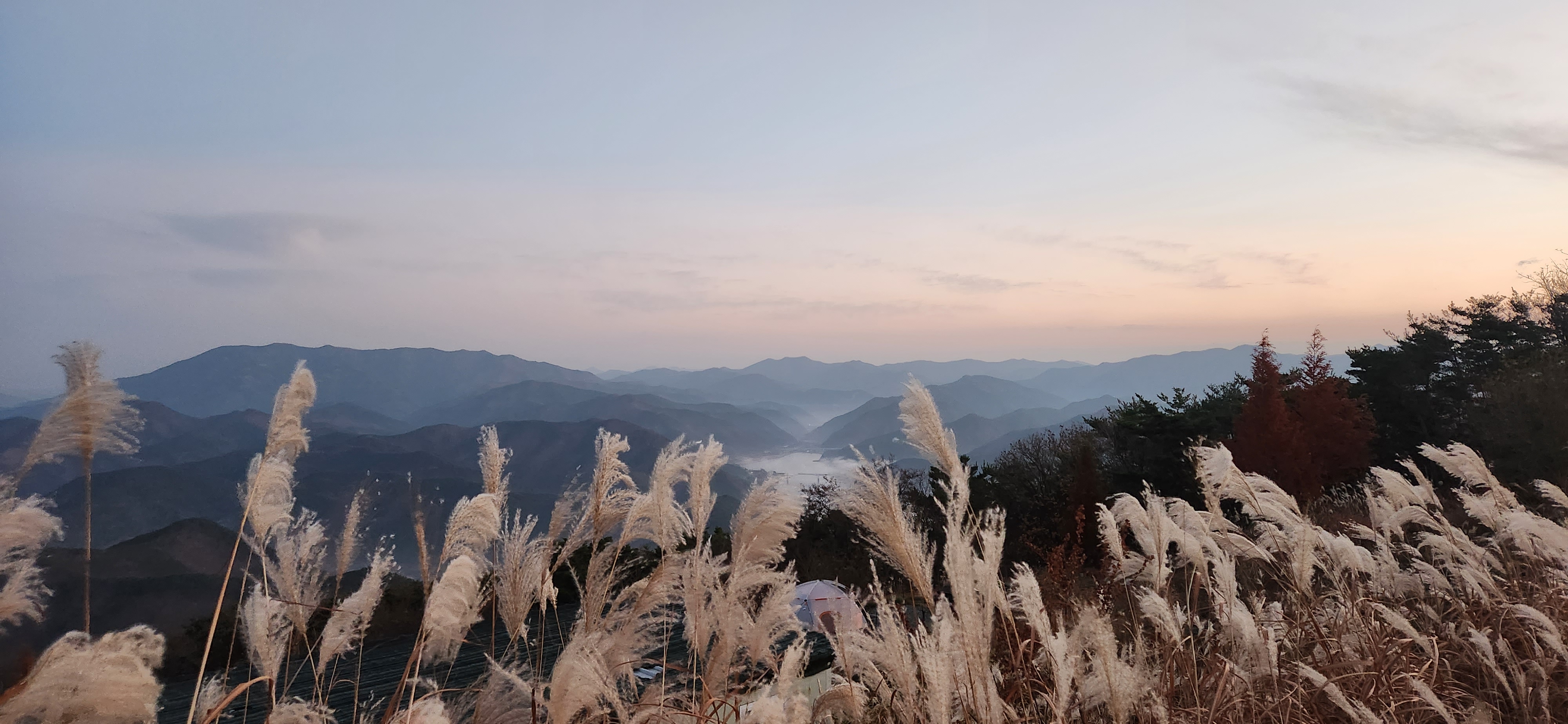 #4 - 관리 일기 - 관심의 중요성 1