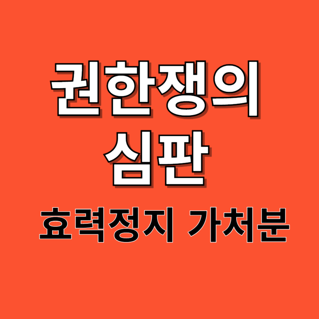 권한쟁의 심판과 효력정지 가처분에 대한 글의 이해를 돕기 위한 사진