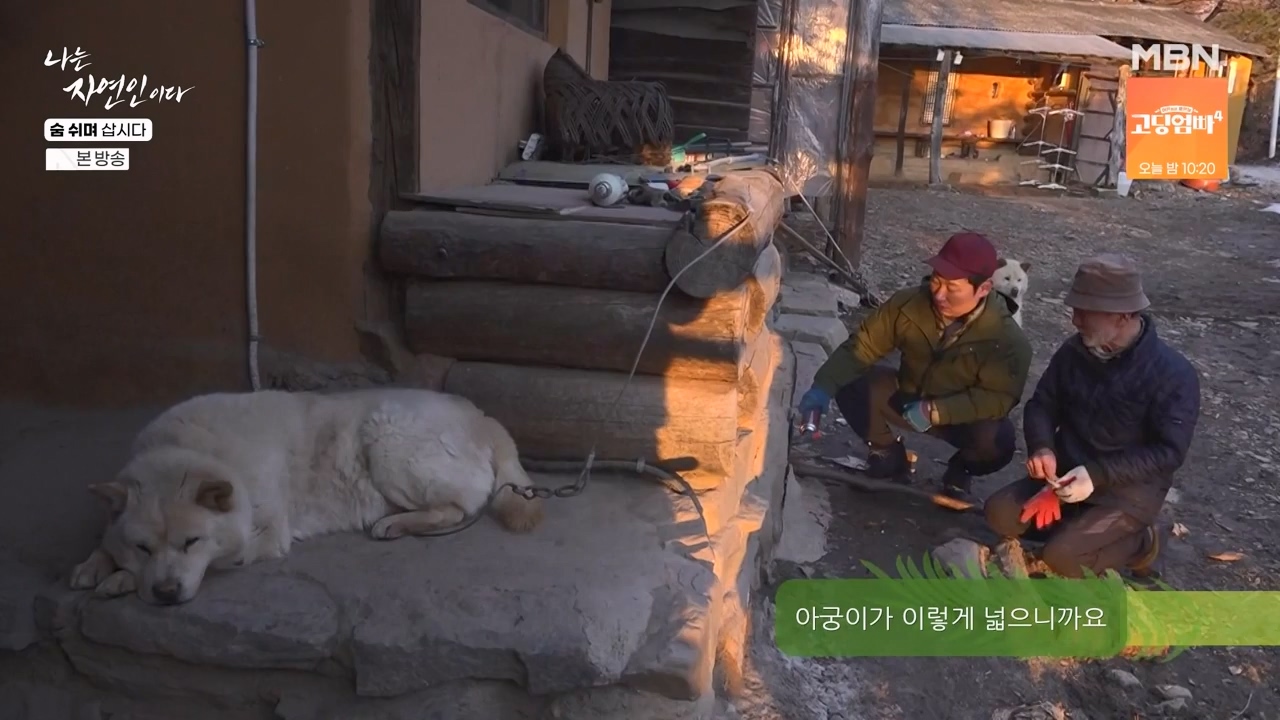 나는 자연인이다.E596.240307p-NEXT.mp4_20240307_195656.952.jpg