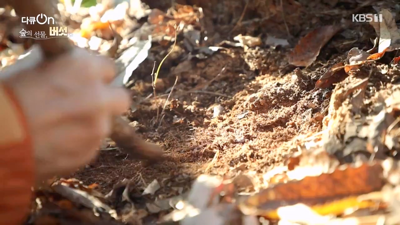 다큐 온.E227.231120p-NEXT.mp4_20231121_203658.116.jpg