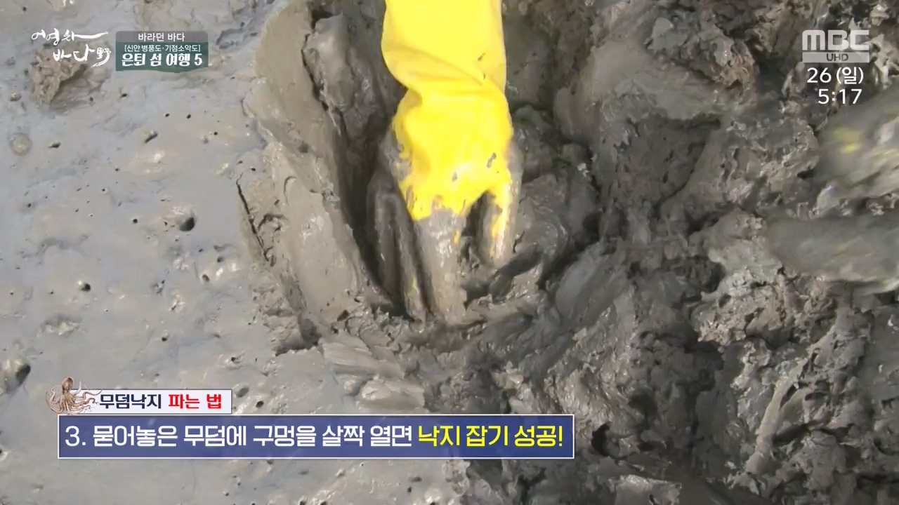 MBC 네트워크 특선 푸른백세 어영차 바다야.E1650.231127p-NEXT.mp4_20231202_171531.610.jpg