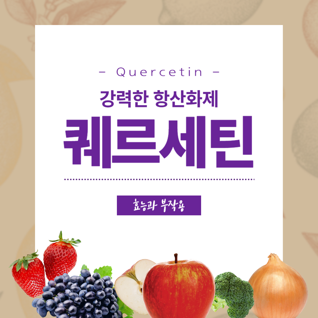 퀘르세틴 효능 부작용