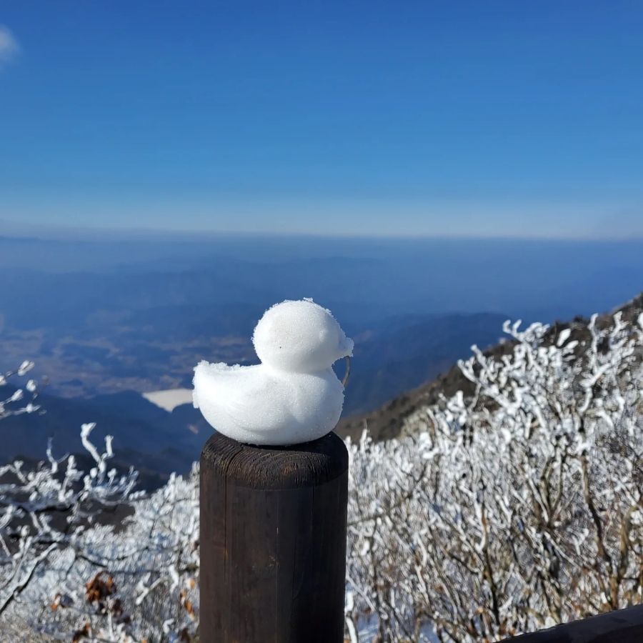 14일 & 보식총정리 9