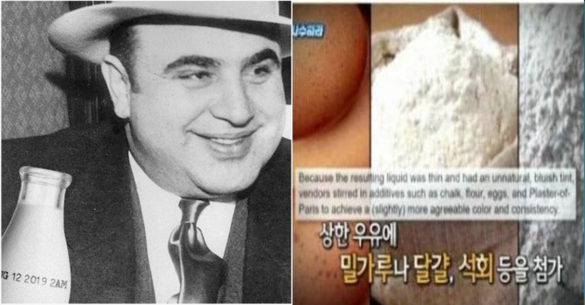  마피아 조직때문에 생겨난 우유의 유통기한