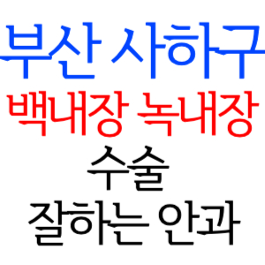 부산 사하구 백내장 녹내장 수술잘하는곳 안과 병원 추천 후기 수술 가격 비용 비교 스마일라식 라섹 드림렌즈 노안 노인 근시 시력교정 렌즈 시력검사 망막 종합검진