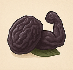 푸룬 효능