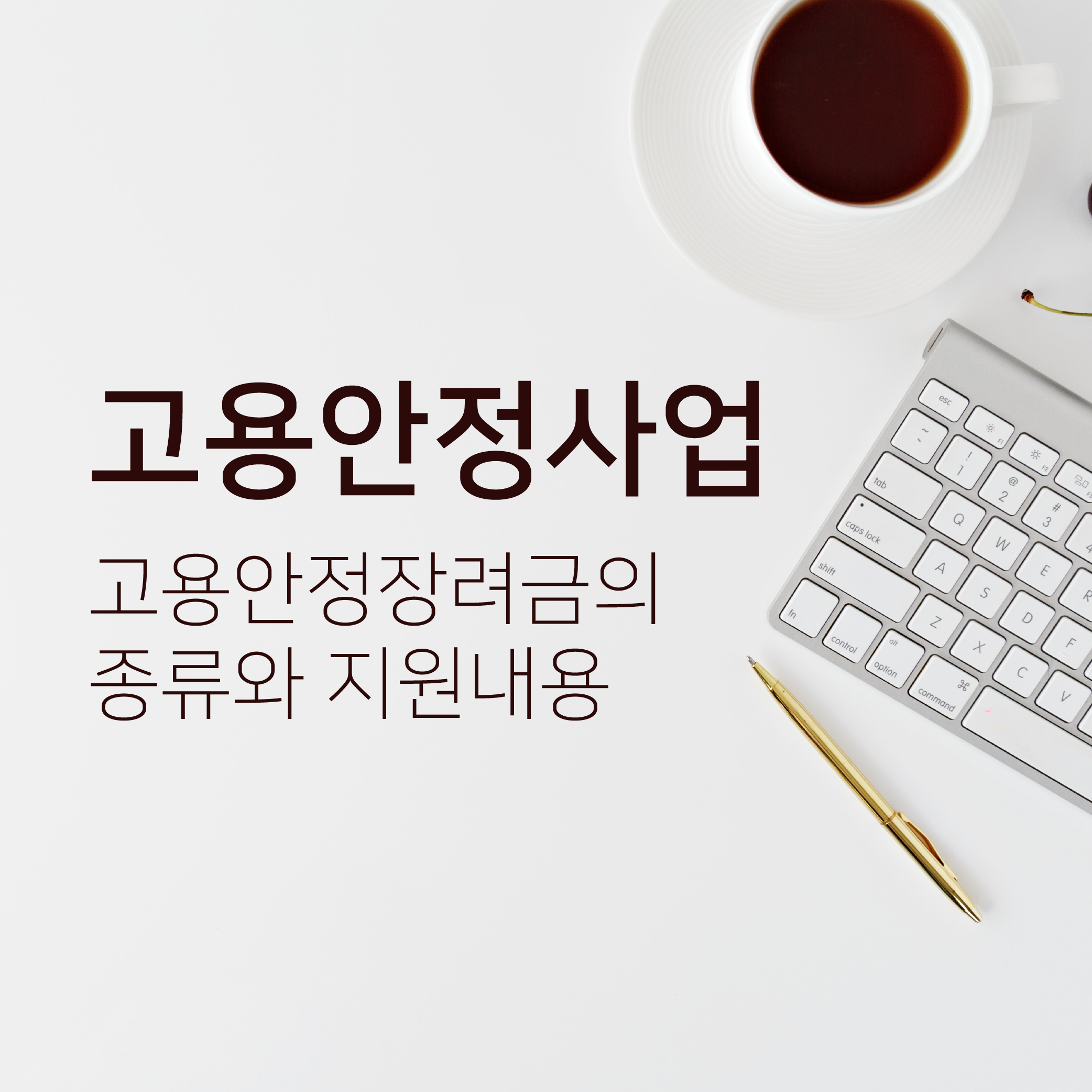  고용안정사업 (2) - 고용안정장려금의 종류와 지원 내용