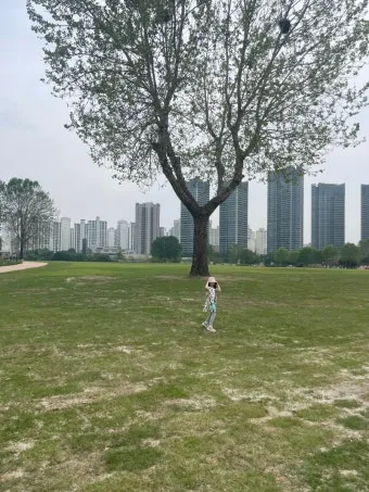 용산어린이정원 온화 전시 서울 전시회 추천_22