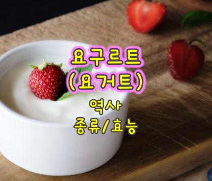 요구르트-역사-종류-효능