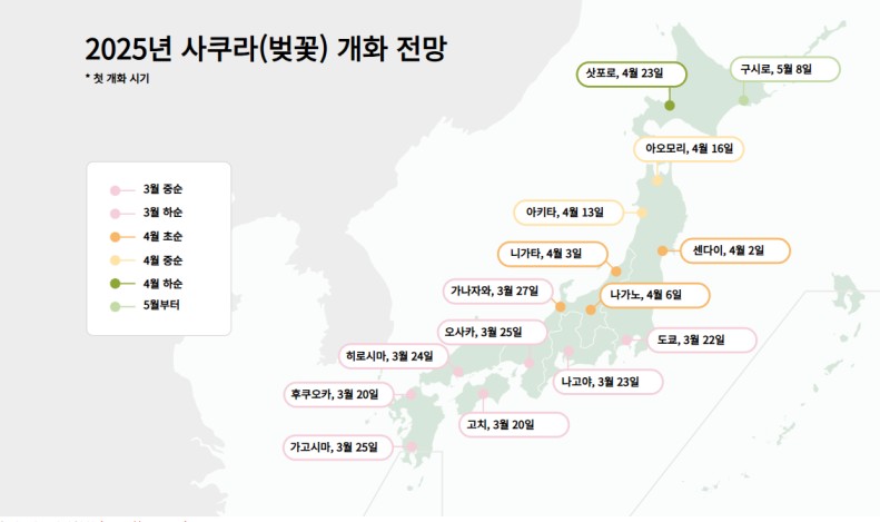 2025 - 오사카 벚꽃 개화시기