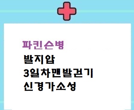  발지압/3일차 맨발걷기 신경가소성