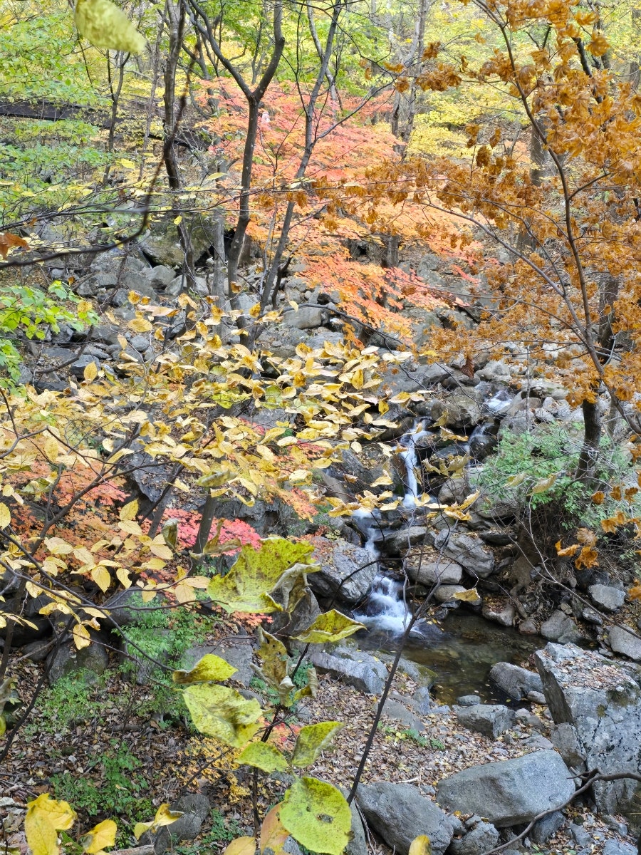 소백산국립공원 희방사코스 이미지
