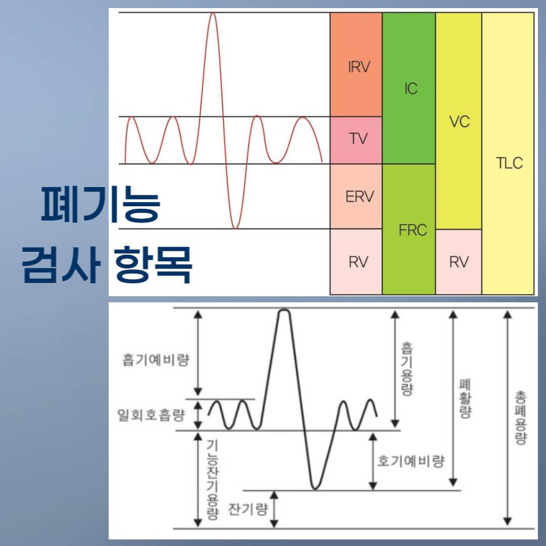 폐기능 검사 항목