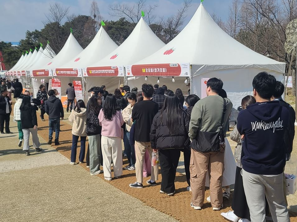 2024-논산-딸기축제