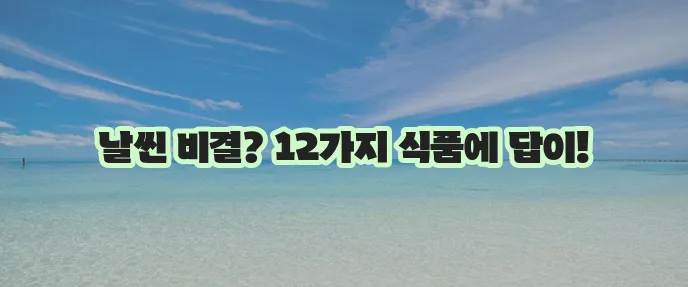 다이어트에 좋은 12가지 식품 꼭 챙겨보세요!