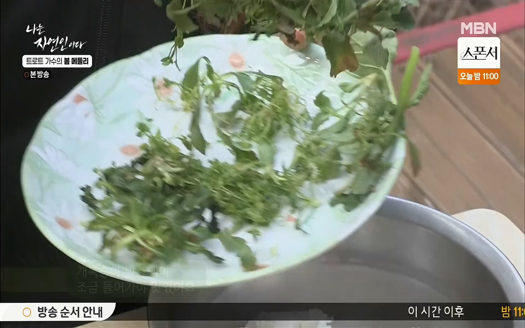 나는 자연인이다.E494.220323p.H264-F1RST.mp4_20220324_183913.773.jpg