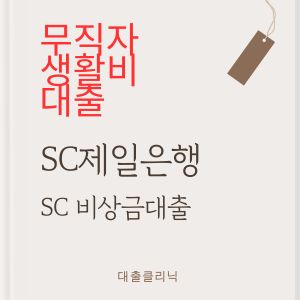 SC제일은행 SC 비상금대출