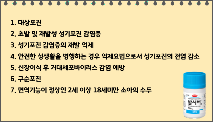 발시버정_효능