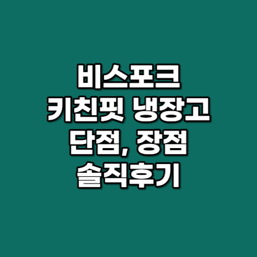 비스포크 키친핏 냉장고 단점 썸네일