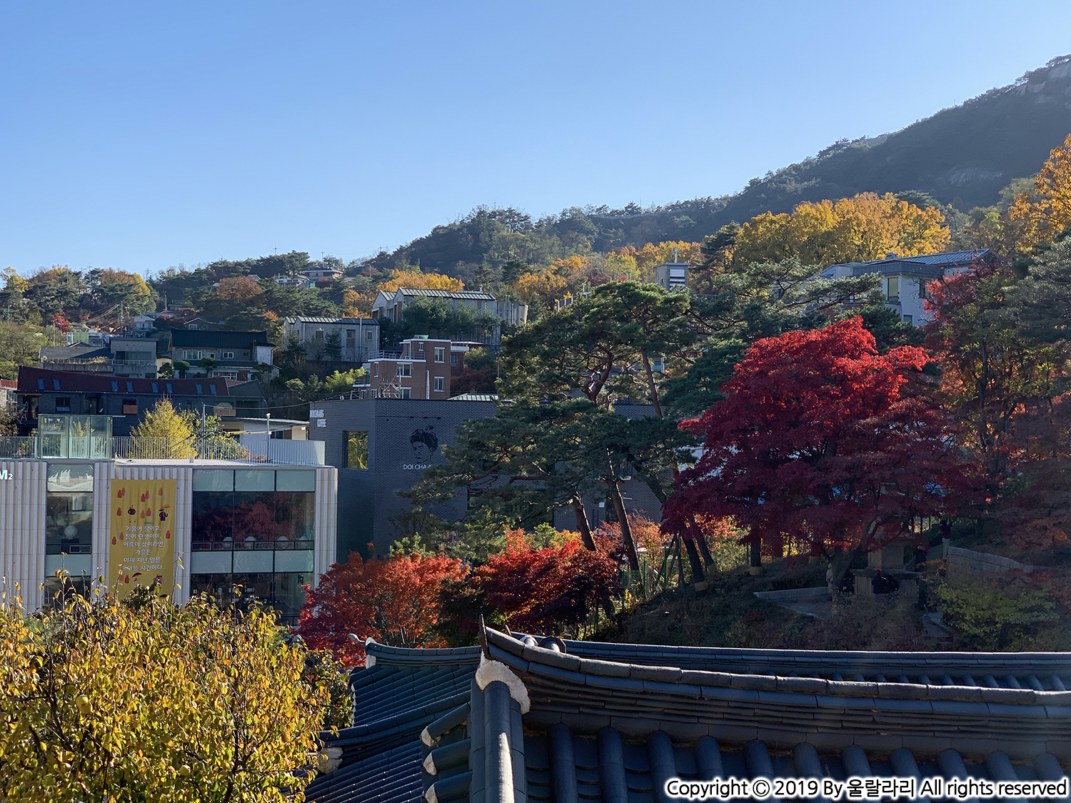 석파정 서울미술관 가을 단풍