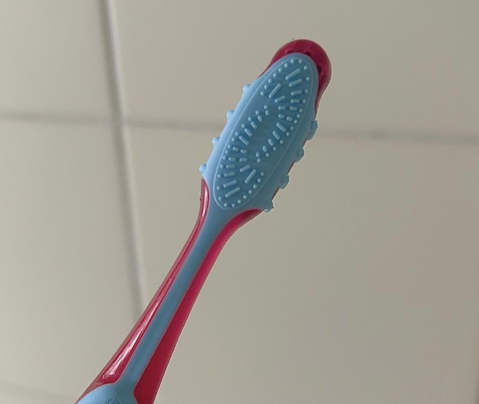 혀 세정기능