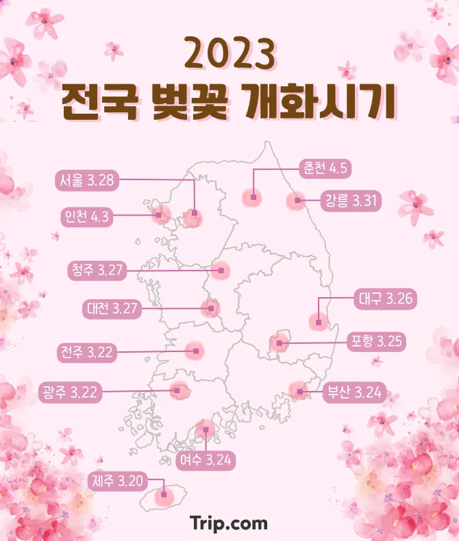 전라도 벚꽃 개화 시기 2023