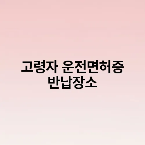 고령자 운전면허증 반납장소