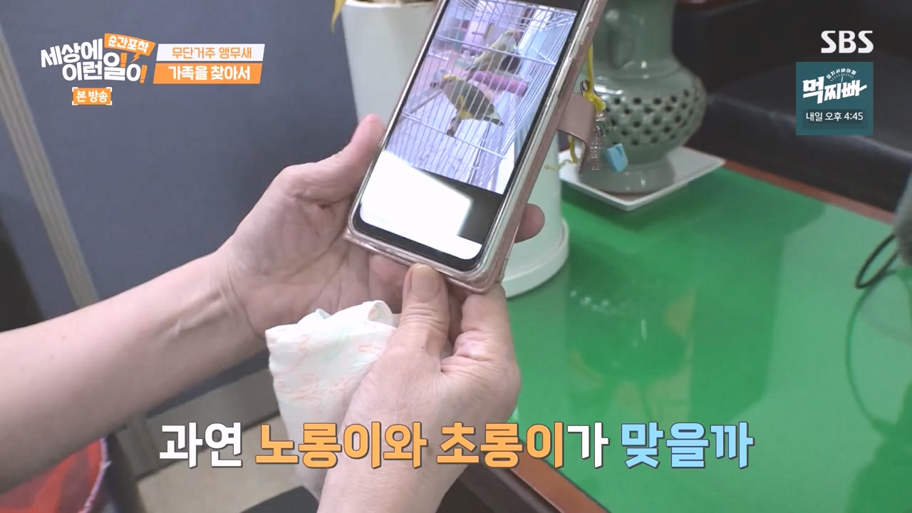 순간포착 세상에 이런일이.E1248.231015p-NEXT.mp4_20231015_164754.816.jpg