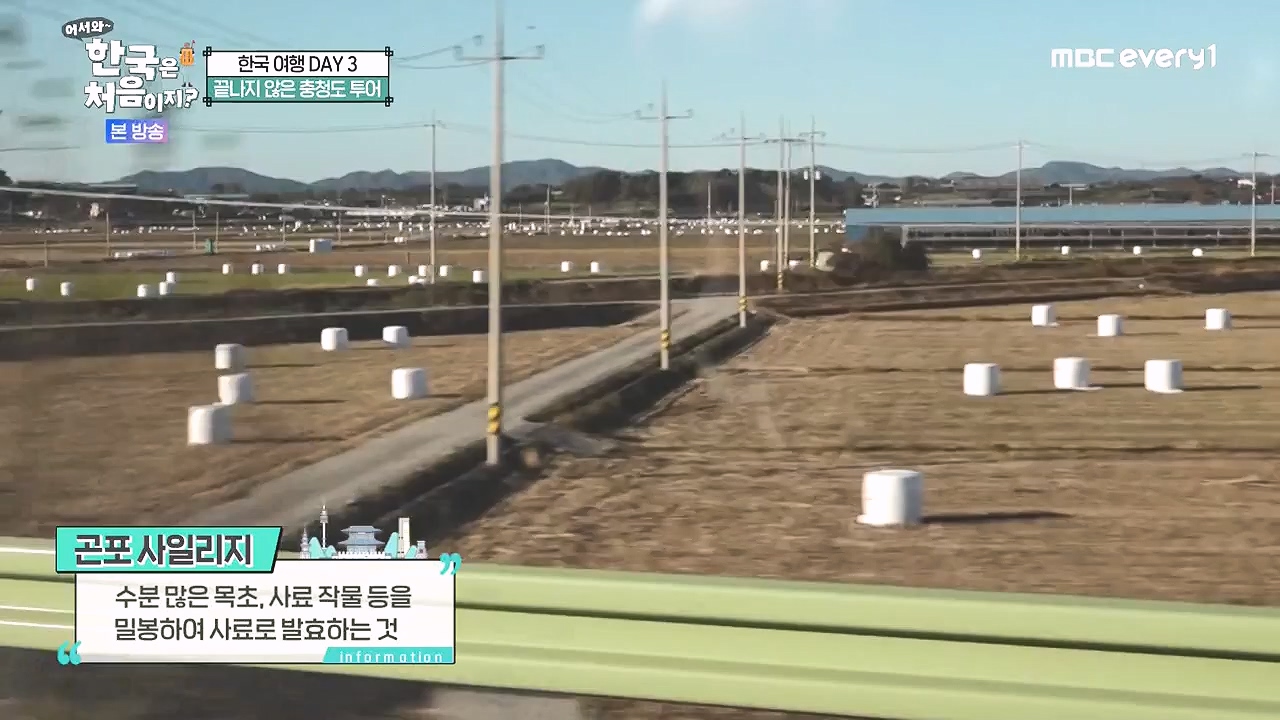 어서와 한국은 처음이지 시즌2.E296.240105p-NEXT.mp4_20240105_193903.725.jpg