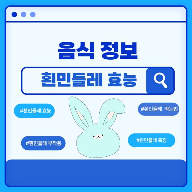 흰민들레 썸네일