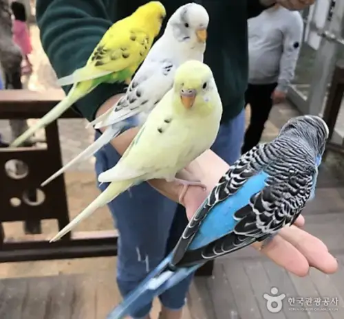 버드파크