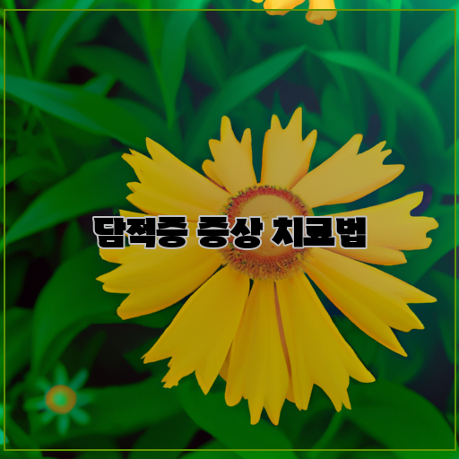  담적증 증상 극복법: 이렇게 해서 쾌차시키세요