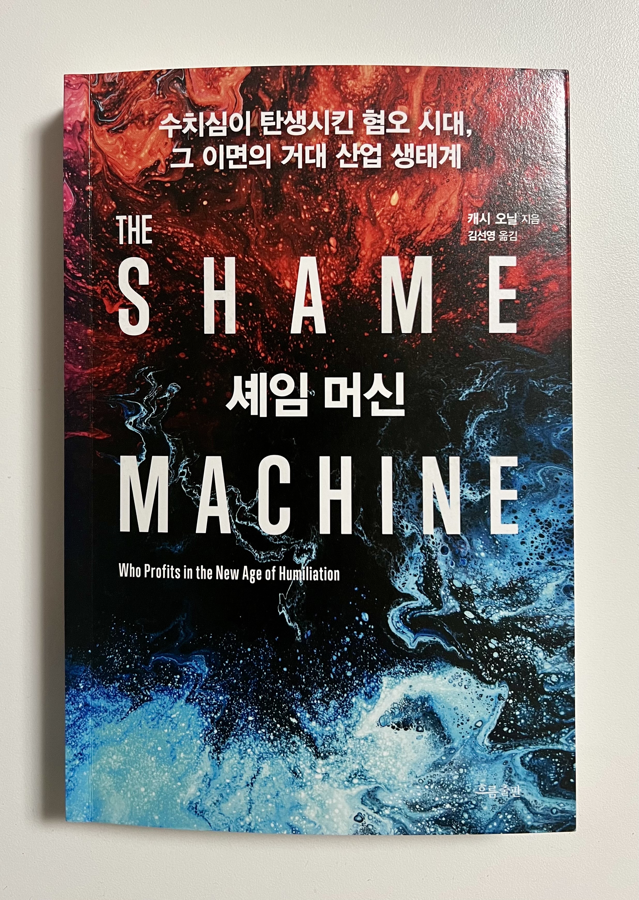  수치심을 느낄 시간에 자신에게 헌신하는 편이 낫다, 캐시 오닐 <셰임 머신>