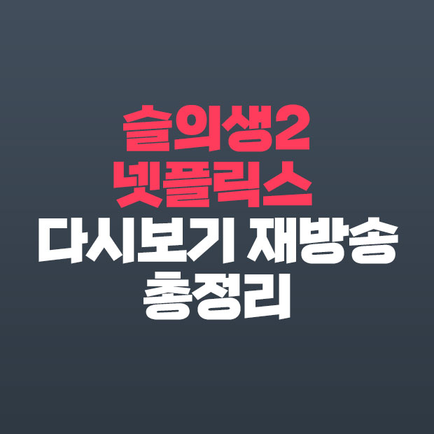  슬의생2 넷플릭스 다시보기 재방송 총정리