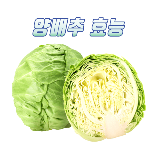 양배추 효능과 효과, 요리방법
