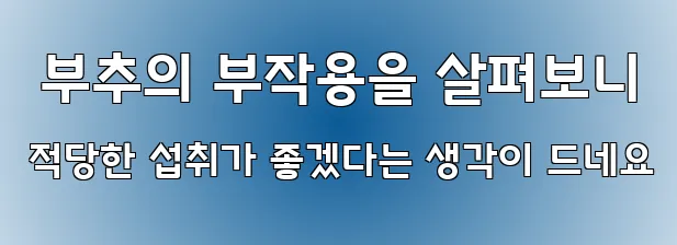  부추의 부작용을 살펴보니 적당한 섭취가 좋겠다는 생각이 드네요