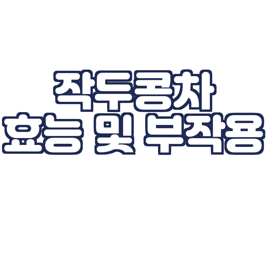  작두콩차 효능 및 부작용 총 정리! (비염개선)